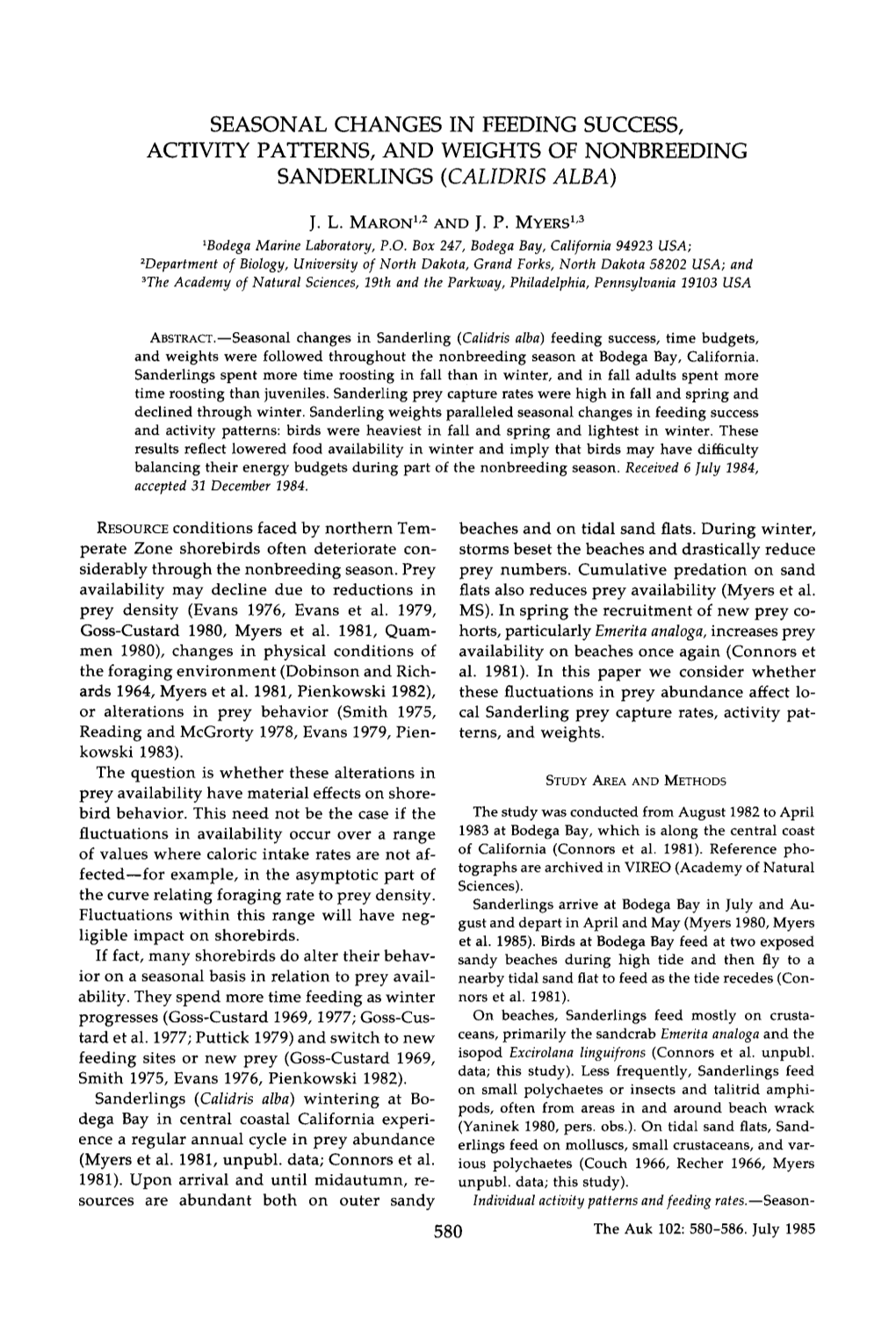 Seasonal Changes in Feeding Success, Activity Patterns, and Weights of Nonbreeding Sanderlings (Calidris Alba)