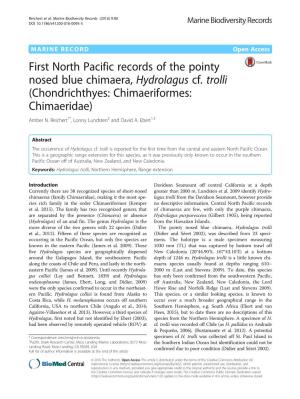 First North Pacific Records of the Pointy Nosed Blue Chimaera, Hydrolagus Cf
