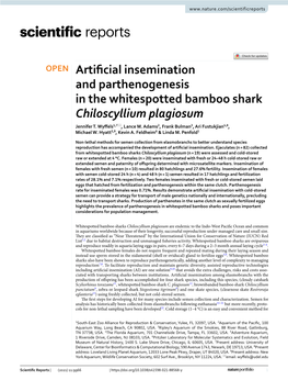 Artificial Insemination and Parthenogenesis in the Whitespotted Bamboo Shark Chiloscyllium Plagiosum