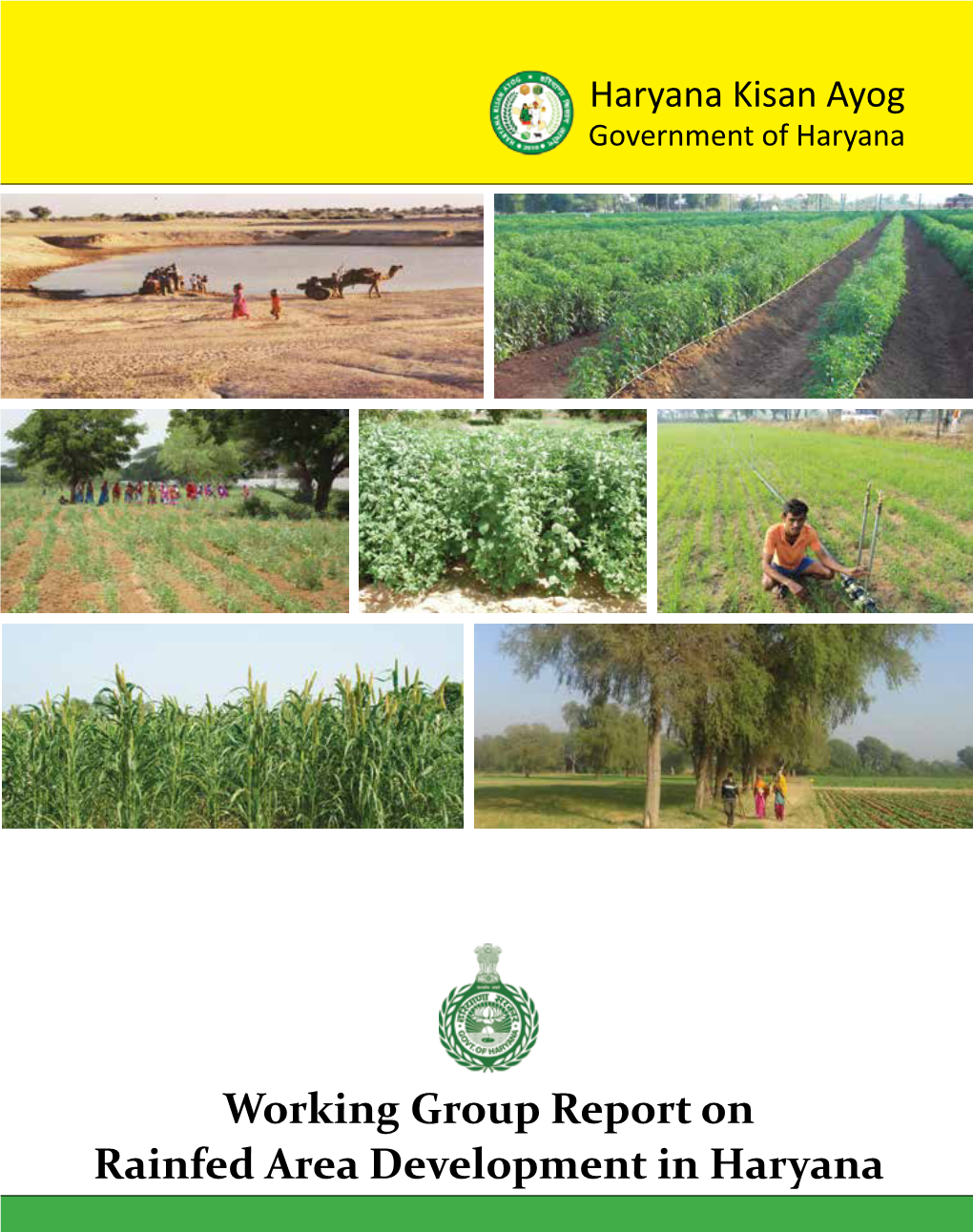 Working Group Report on Rainfed Area Development in Haryana