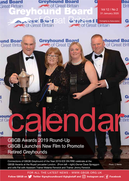 GBGB Awards 2019 Round-Up GBGB Launches New Film to Promote Retired Greyhounds