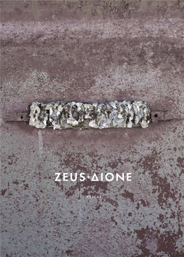 ZEUS DIONE 2015 SS Lookbook Preview.Pdf