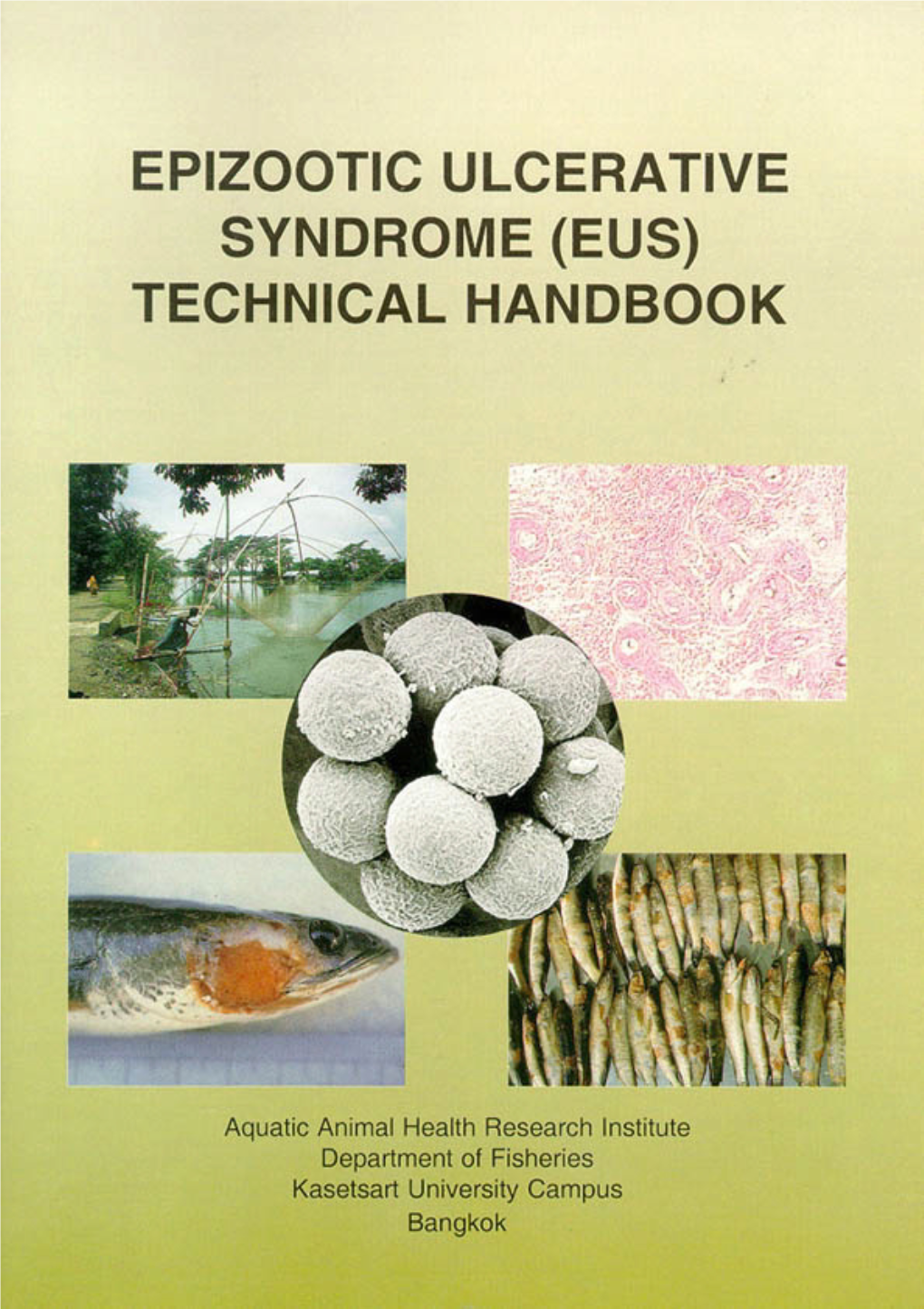 Epizootic Ulcerative Syndrome (EUS) Technical Handbook. the Aquatic Animal Health Research Institute, Bangkok