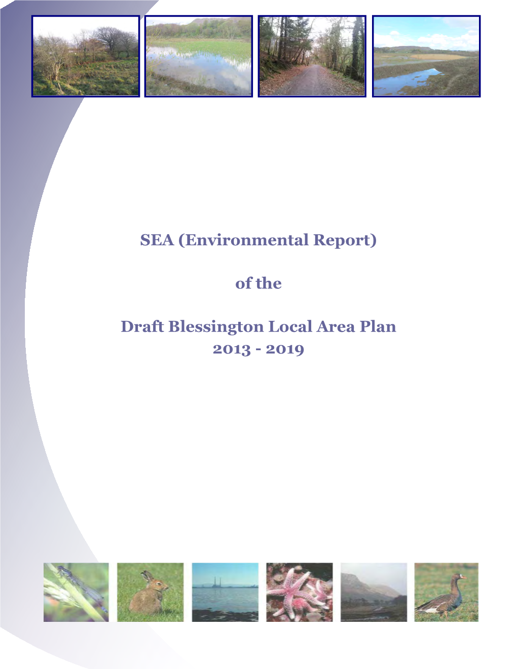 (Environmental Report) of the Draft Blessington Local Area Plan 2013