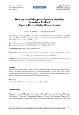 New Species of the Genus Cyamops Melander from New Zealand (Diptera, Periscelididae, Stenomicrinae)