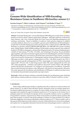 Genome-Wide Identification of NBS-Encoding Resistance