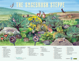 Sagebrush Steppe Poster