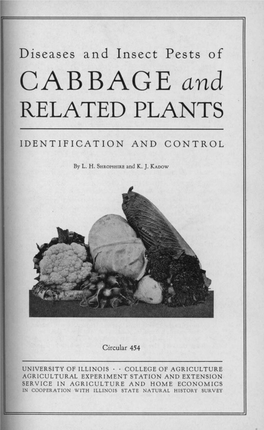 Diseases and Insect Pests of CABBAGE and RELATED PLANTS