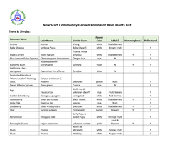Pollinator Garden Plant List