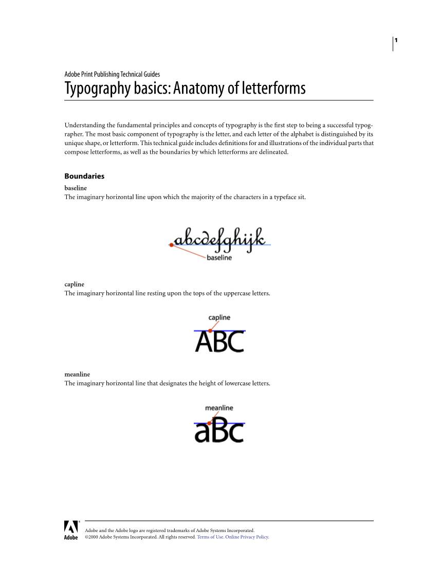 Typograpy Basics: Letterform Anatomy