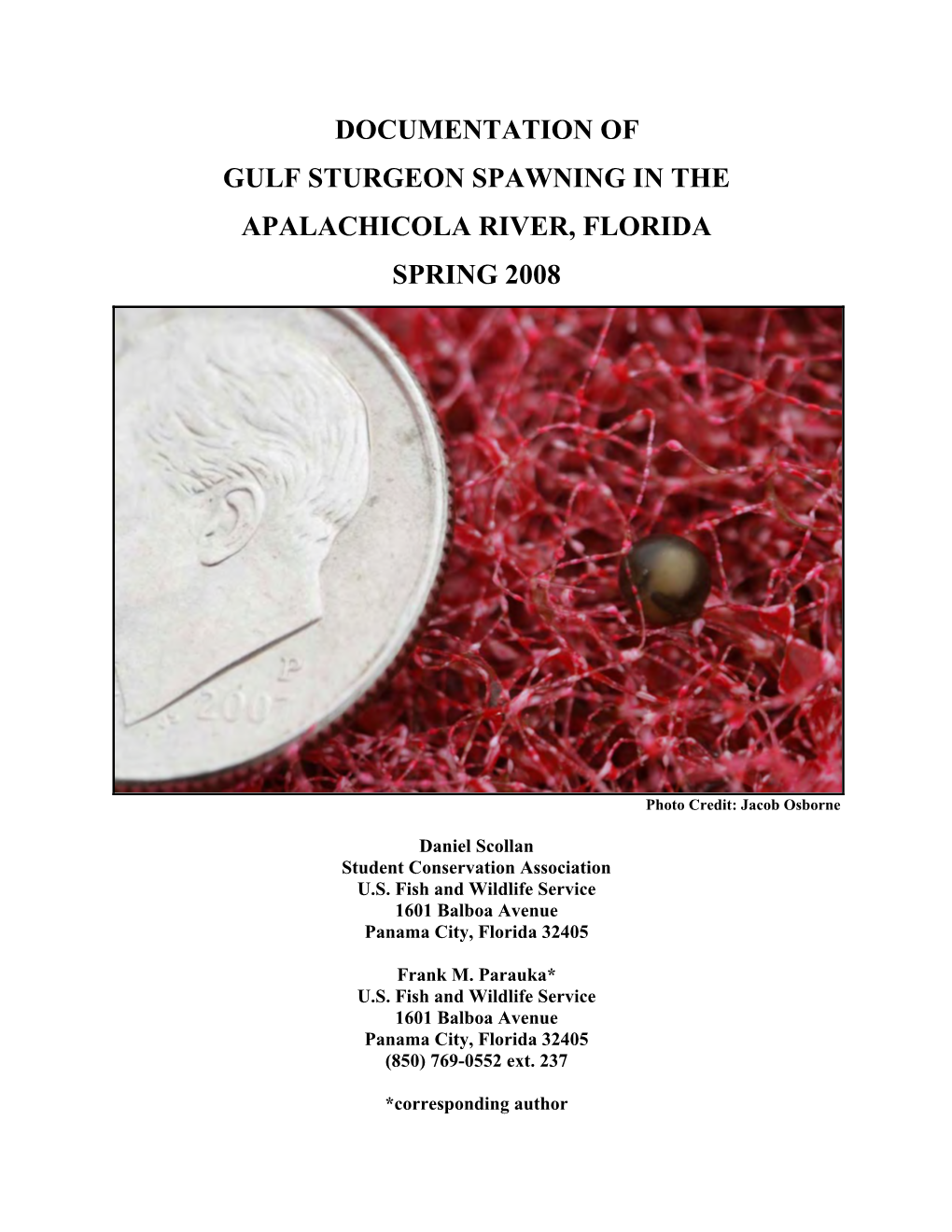 Documentation of Gulf Sturgeon Spawning in the Apalachicola River, Florida Spring 2008