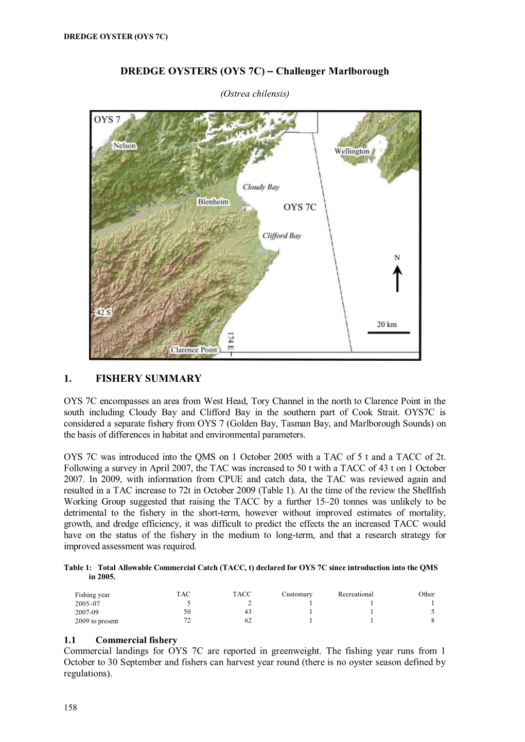 DREDGE OYSTERS Nelson/Marlborough (OYS7)