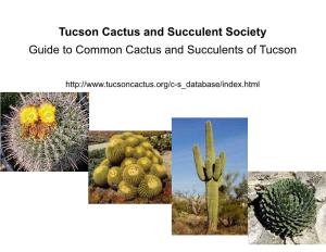 Tucson Cactus and Succulent Society Guide to Common Cactus and Succulents of Tucson