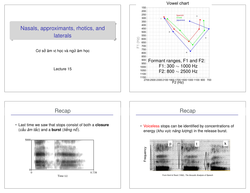 Nasals, Approximants, Rhotics, and Laterals