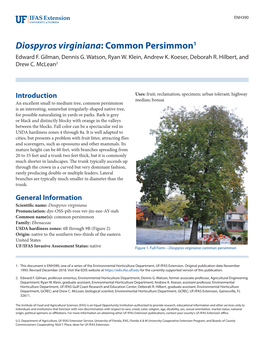 Diospyros Virginiana: Common Persimmon1 Edward F