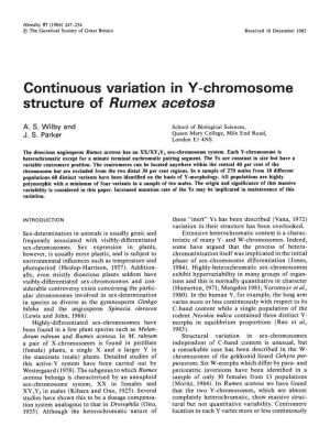 Continuous Variation in Y-Chromosome Structure of Rumex Acetosa