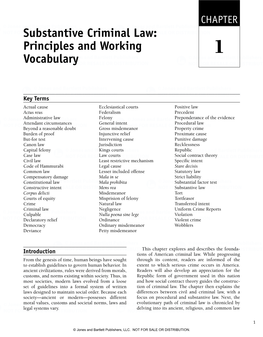 Substantive Criminal Law: Principles and Working 1 Vocabulary