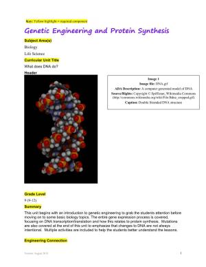 Genetic Engineering and Protein Synthesis