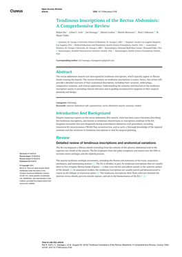 Tendinous Inscriptions of the Rectus Abdominis: a Comprehensive Review