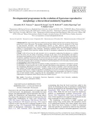 Developmental Programmes in the Evolution of Equisetum Reproductive Morphology: a Hierarchical Modularity Hypothesis