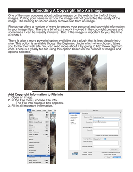 Embedding a Copyright Into an Image One of the Main Concerns About Putting Images on the Web, Is the Theft of Those Images