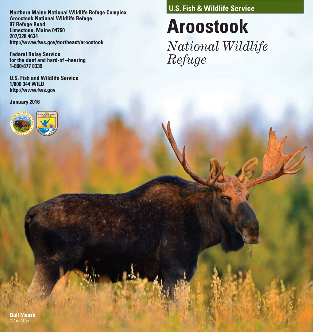 Aroostook NWR Brochure