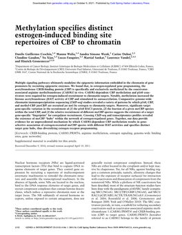 Methylation Specifies Distinct Estrogen-Induced Binding Site Repertoires of CBP to Chromatin