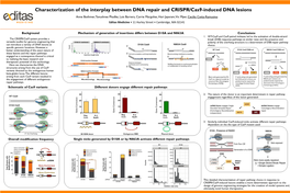 Characterization of the Interplay Between DNA Repair and CRISPR/Cas9-Induced DNA Lesions