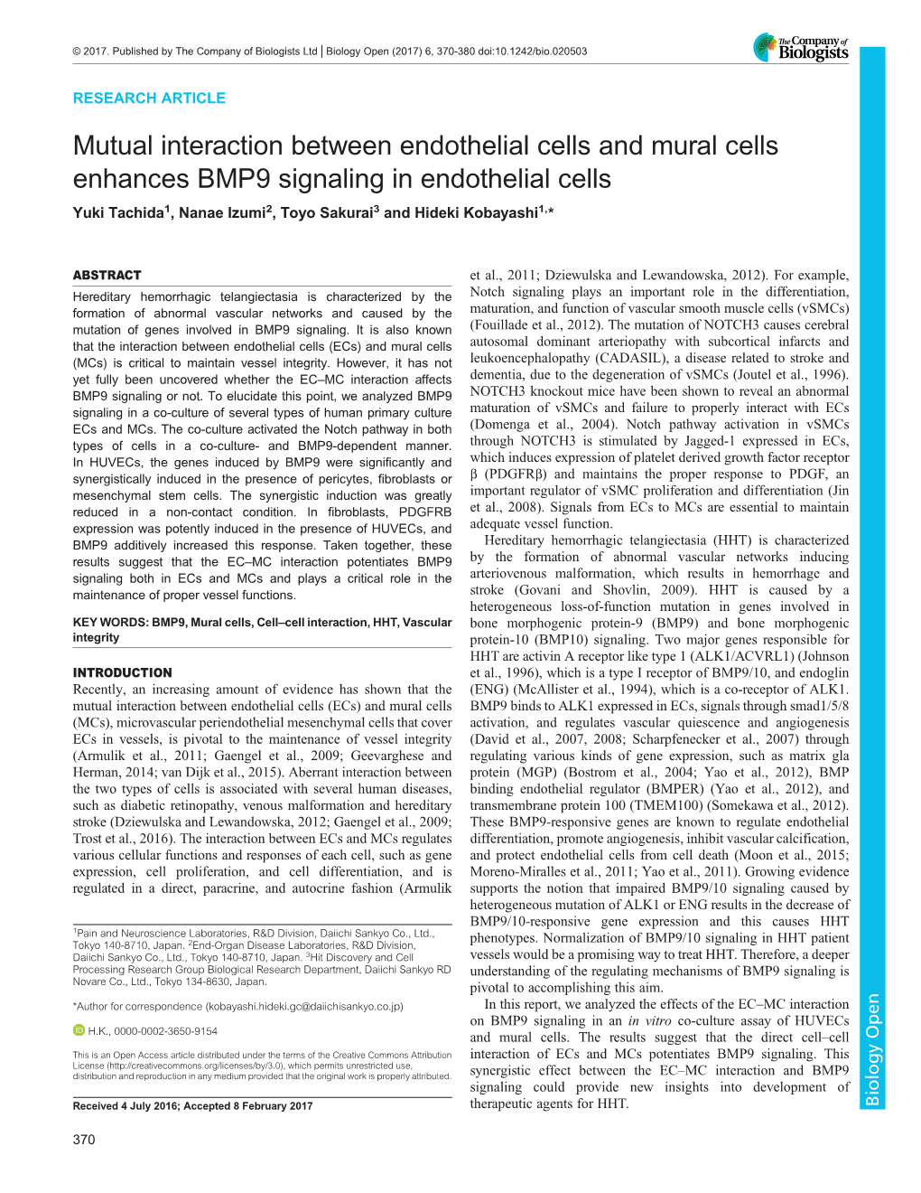 Mutual Interaction Between Endothelial Cells and Mural Cells