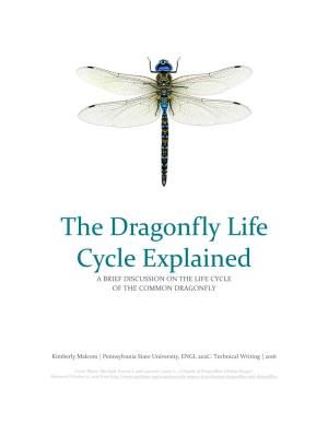 Life Cycle of a Dragonfly, and Will Be Broken Down Into Sections Based on the Chronological Life Stages of This Insect