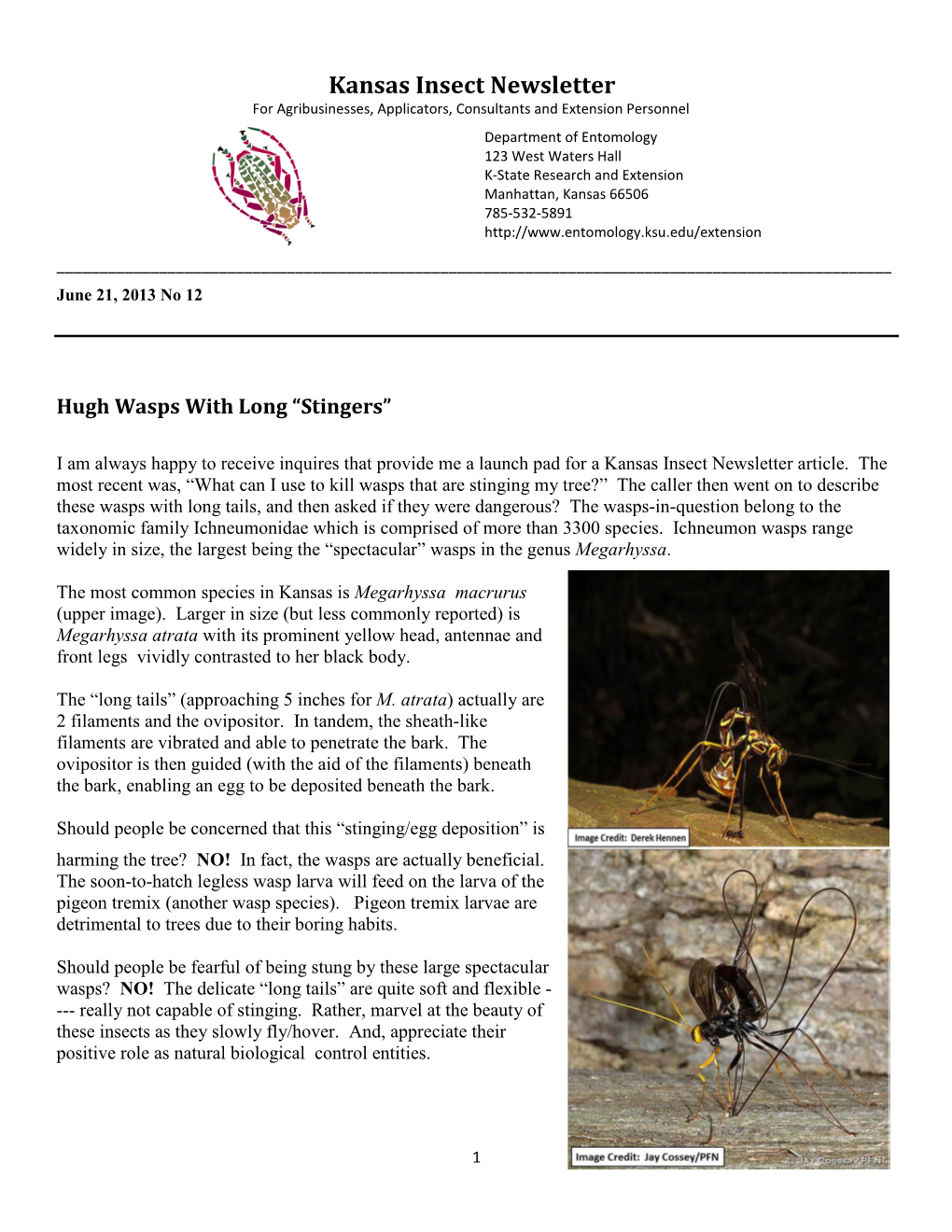 Kansas Insect Newsletter