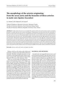 The Morphology of the Arteries Originating from the Arcus Aorta and the Branches of These Arteries in Mole-Rats (Spalax Leucodon)