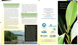 Mangrove Brochure
