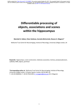 Differentiable Processing of Objects, Associations and Scenes Within the Hippocampus