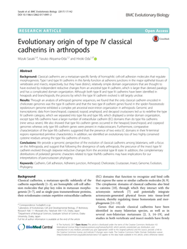 Evolutionary Origin of Type IV Classical Cadherins in Arthropods Mizuki Sasaki1,4, Yasuko Akiyama-Oda1,2 and Hiroki Oda1,3*