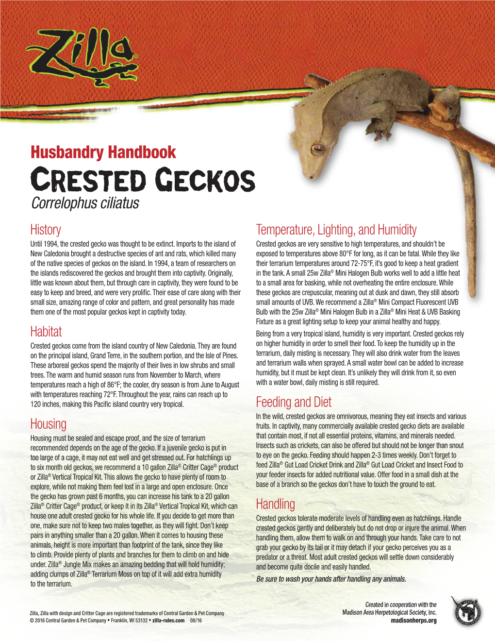 CRESTED GECKOS Correlophus Ciliatus History Temperature, Lighting, and Humidity Until 1994, the Crested Gecko Was Thought to Be Extinct