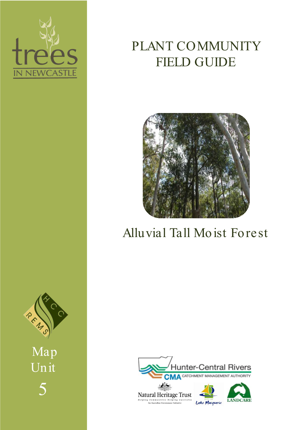 MU5 Alluvial Tall Moist Forest