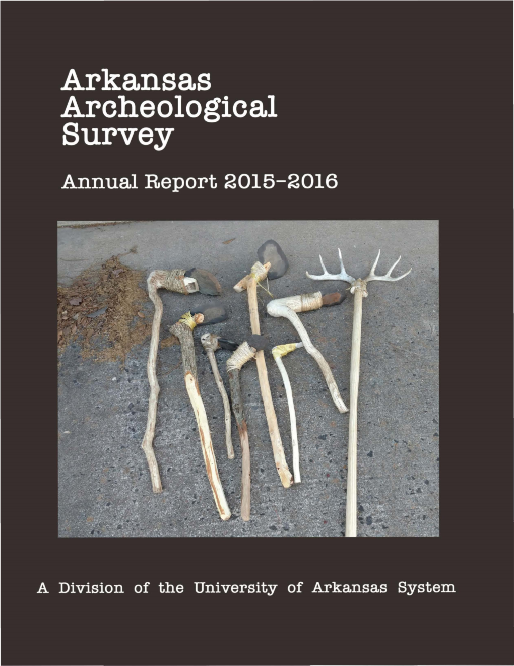 2016-ARAS-Annual-Report.Pdf