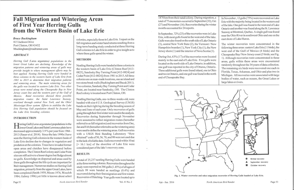 Fall Migration and Wintering Areas of First Year Herring Gulls from The