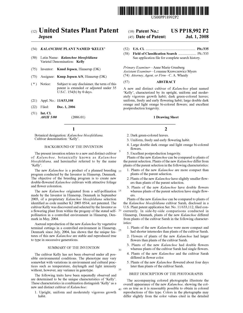 (12) United States Plant Patent (10) Patent No.: US PP18,992 P2 Jepsen (45) Date of Patent: Jul