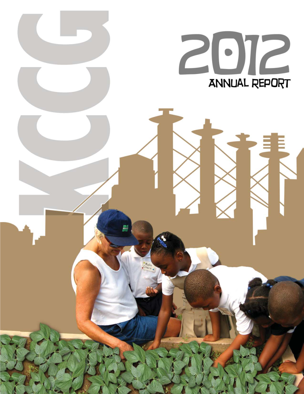 2012 Annual Report.Indd