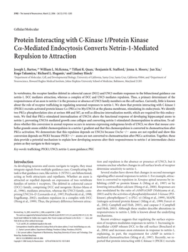 Protein Interacting with C-Kinase 1/Protein Kinase C␣-Mediated Endocytosis Converts Netrin-1-Mediated Repulsion to Attraction