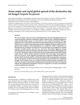 Asian Origin and Rapid Global Spread of the Destructive Dry Rot Fungus