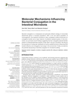 Molecular Mechanisms Influencing Bacterial Conjugation in the Intestinal Microbiota