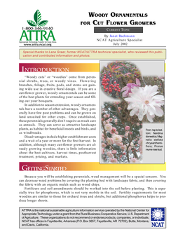 WOODY ORNAMENTALS for CUT FLOWER GROWERS CURRENT TOPIC by Janet Bachmann NCAT Agriculture Specialist July 2002
