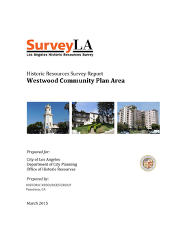 Surveyla Survey Report Template