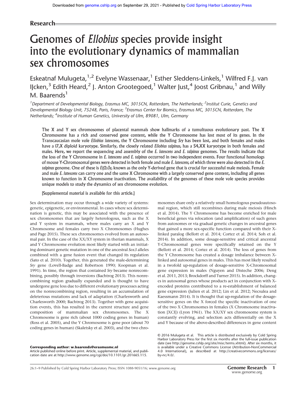 Genomes of Ellobius Species Provide Insight Into the Evolutionary Dynamics of Mammalian Sex Chromosomes