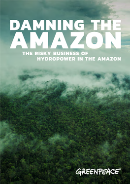 The Risky Business of Hydropower in the Amazon Summary 3