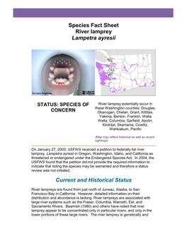 Species Fact Sheet River Lamprey Lampetra Ayresii Current And