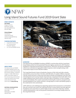 Long Island Sound Futures Fund 2019 Grant Slate